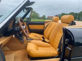 Alfa Romeo Spider thumbnail 11
