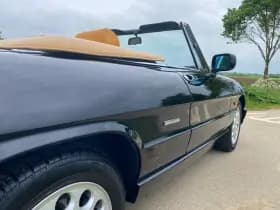 Alfa Romeo Spider thumbnail 30