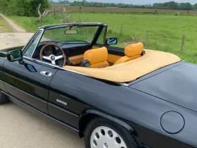 Alfa Romeo Spider thumbnail 42
