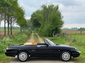 Alfa Romeo Spider thumbnail 6