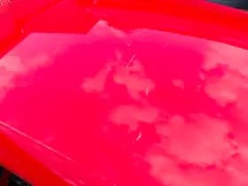 Volkswagen Up! thumbnail 19