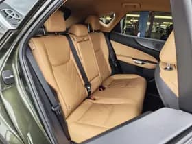 Lexus NX thumbnail 34