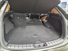 Lexus NX thumbnail 38