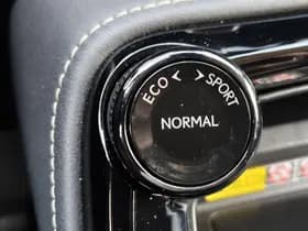 Lexus NX thumbnail 19
