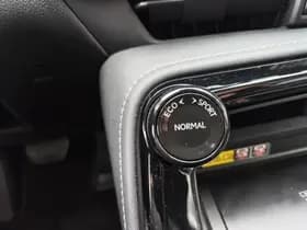 Lexus NX thumbnail 20