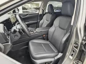 Lexus NX thumbnail 30
