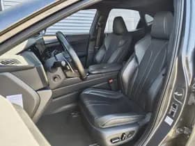 Lexus NX thumbnail 31
