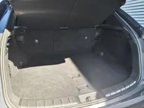 Lexus NX thumbnail 38