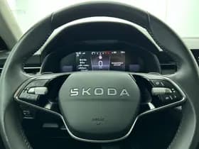 Škoda Kamiq 1.0 TSI Business Edition DSG thumbnail 9