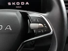 Škoda Karoq thumbnail 17