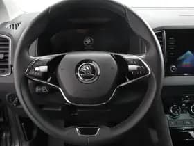 Škoda Karoq thumbnail 18