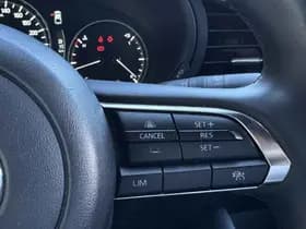 Mazda 3 2.5 e-SkyActiv-G M Hybrid 140 Homura thumbnail 17