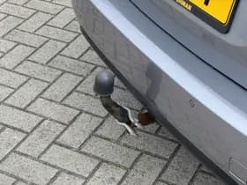 Peugeot 308 thumbnail 19