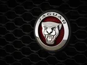 Jaguar F-Pace thumbnail 19