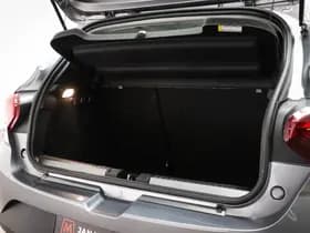 Dacia Sandero Stepway thumbnail 12