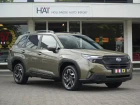 Subaru Forester thumbnail 17