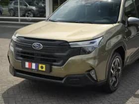 Subaru Forester thumbnail 22