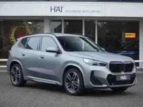 BMW X1 thumbnail 14