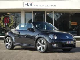 Volkswagen Beetle thumbnail 12