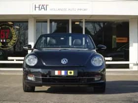 Volkswagen Beetle thumbnail 13