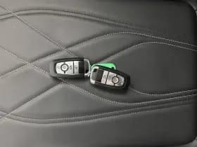 Ford Mustang mach e thumbnail 31