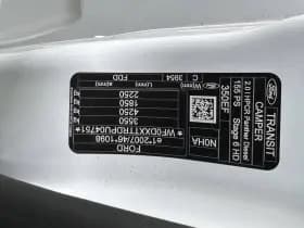 Etrusco T thumbnail 33