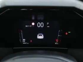 Ds Ds 4 thumbnail 18