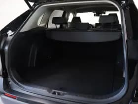 Toyota RAV4 2.5 Hybrid Dynamic | PDC V+A | Dodehoek thumbnail 28