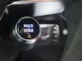 Renault Rafale 1.2 E-Tech full hybrid 200 esprit Alpine thumbnail 25