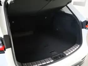 Lexus NX thumbnail 29