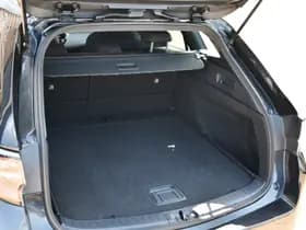 Toyota Corolla thumbnail 13