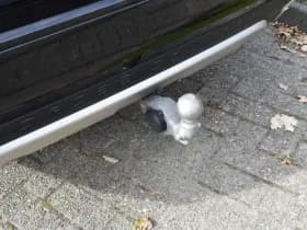 Volvo V60 Cross Country B5 265PK Automaat AWD Pro thumbnail 20