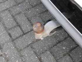 Volvo XC90 T8 Recharge AWD Inscription thumbnail 7