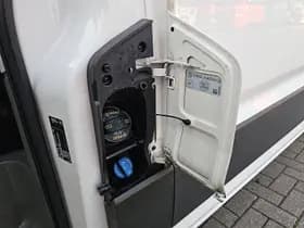 M.A.N. Tge thumbnail 19