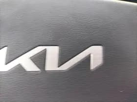 Kia Niro-ev thumbnail 21