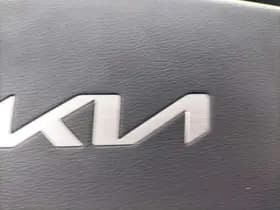 Kia Niro-ev thumbnail 56