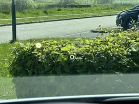 Kia Ev6 thumbnail 38