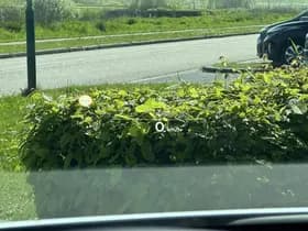 Kia Ev6 thumbnail 80