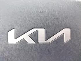 Kia Niro-ev thumbnail 16