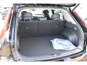 Kia Niro-ev thumbnail 50