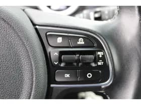 Kia Niro thumbnail 19