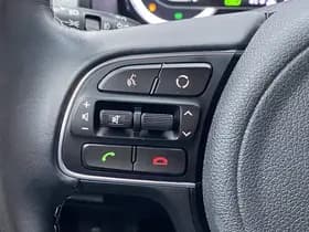 Kia Niro thumbnail 80