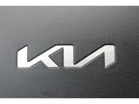 Kia Niro thumbnail 22