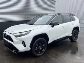 Toyota Rav4 thumbnail 55