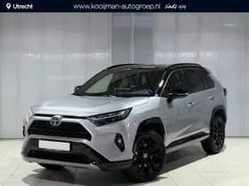 Toyota Rav4 thumbnail 65