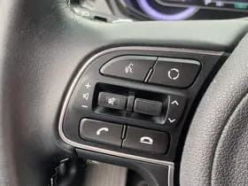 Kia Niro thumbnail 80