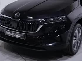 Škoda Karoq thumbnail 101