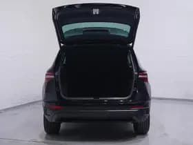 Škoda Karoq thumbnail 107