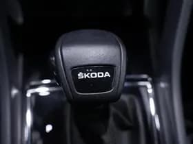 Škoda Karoq thumbnail 121