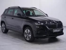 Škoda Karoq thumbnail 139